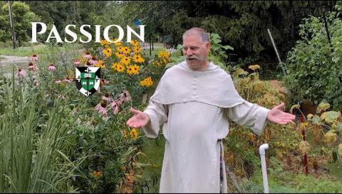 17 August • What is Your Passion?